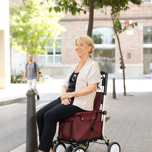 carlett assis Rollator Carlett